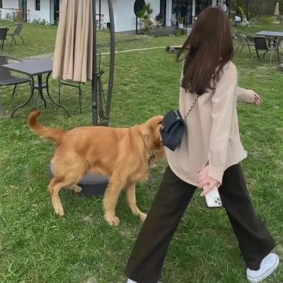 美属维尔京